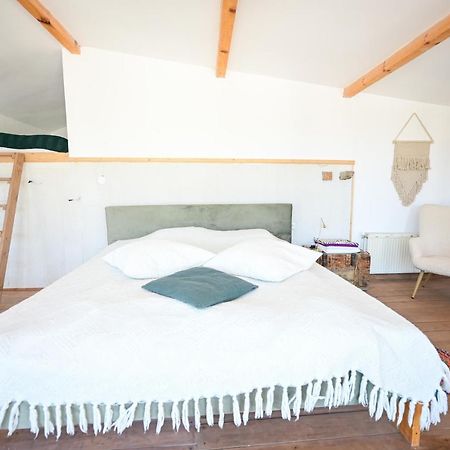 Guest House Bulgarka Dibich المظهر الخارجي الصورة